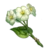 Local specialty icon